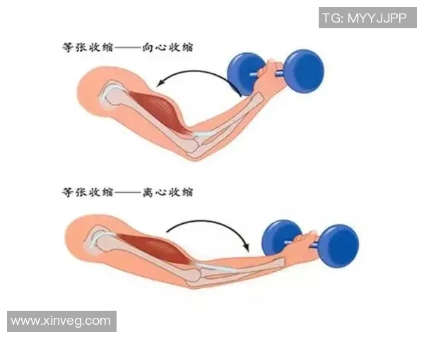 足球球星训练背心助力运动表现提升全方位解析与使用指南 足球球星训练背心助力运动表现提升全方位解析与使用指南